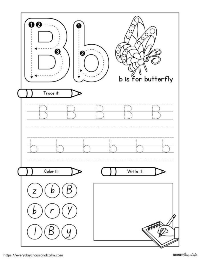 Colorful alphabet worksheet featuring letter B activities and illustrations for preschool learners
