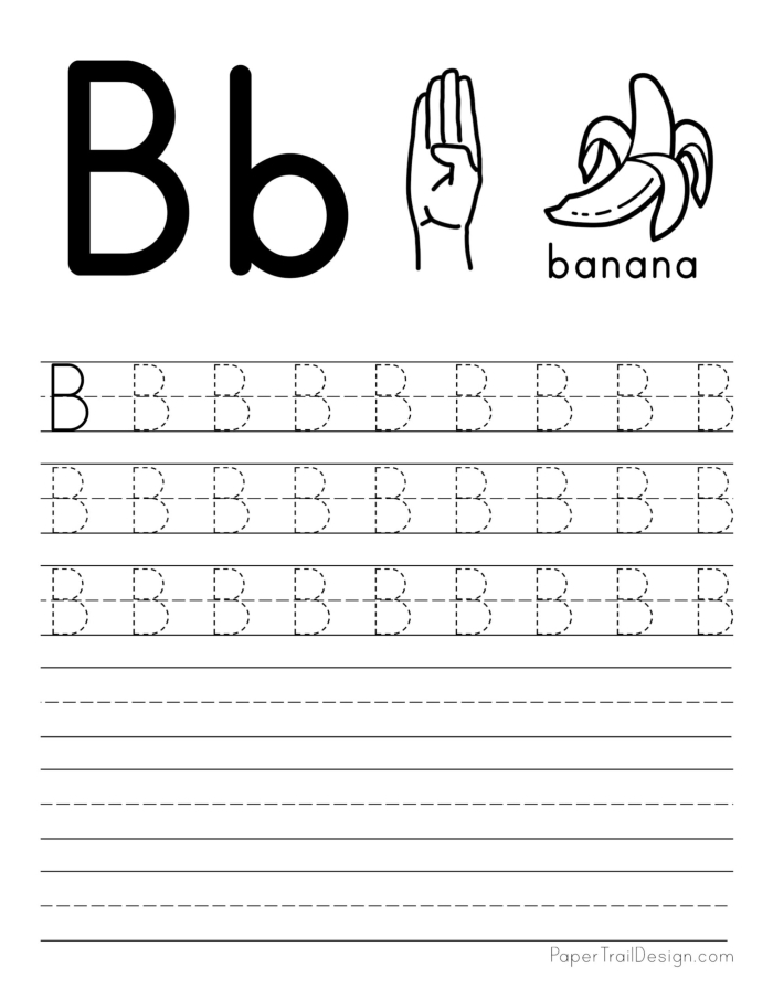 Tracing practice worksheet for the letter B designed for prekindergarten students