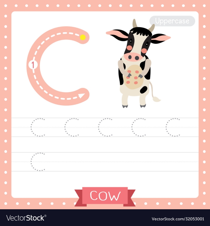 Colorful worksheet featuring the letter C with engaging illustrations for Pre-K students 25