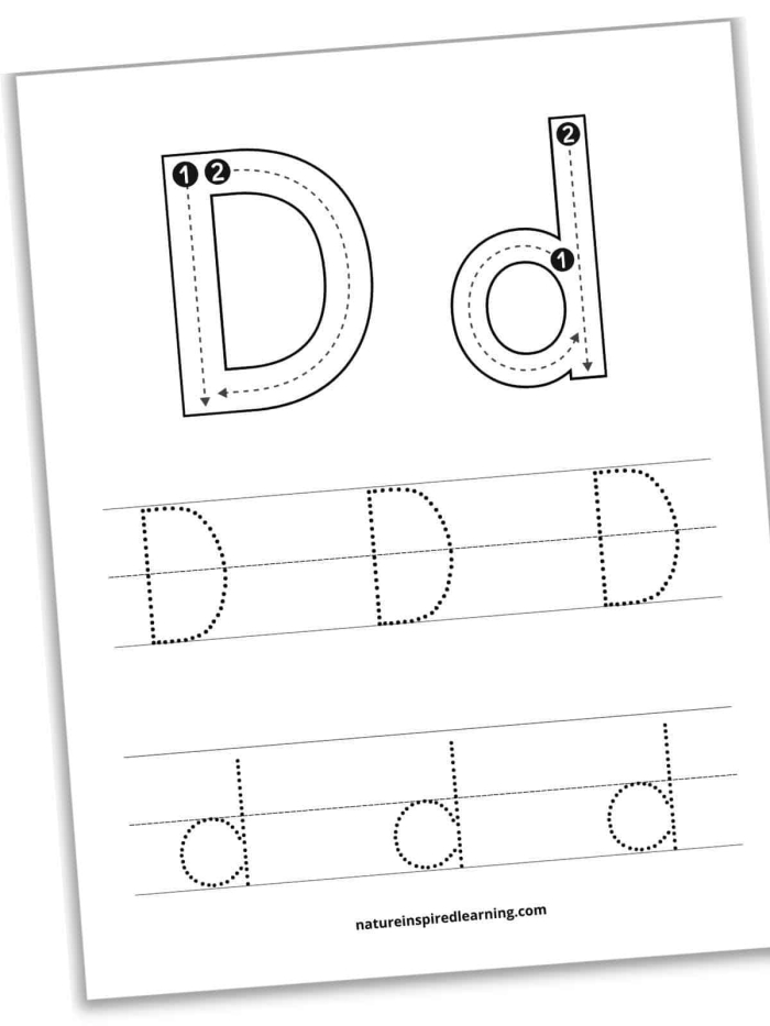 Child tracing dotted lines and the letter D on a pre-K worksheet to develop writing skills