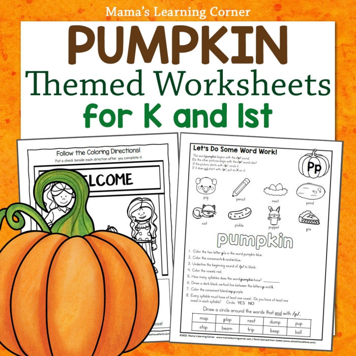 Worksheet featuring various objects that begin with the letter K for preschool learning