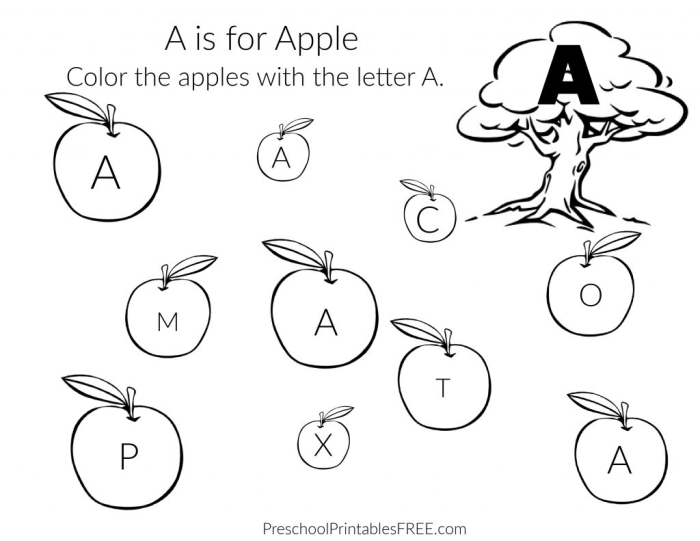Worksheet featuring words that begin with the letter K for preschool and early elementary students