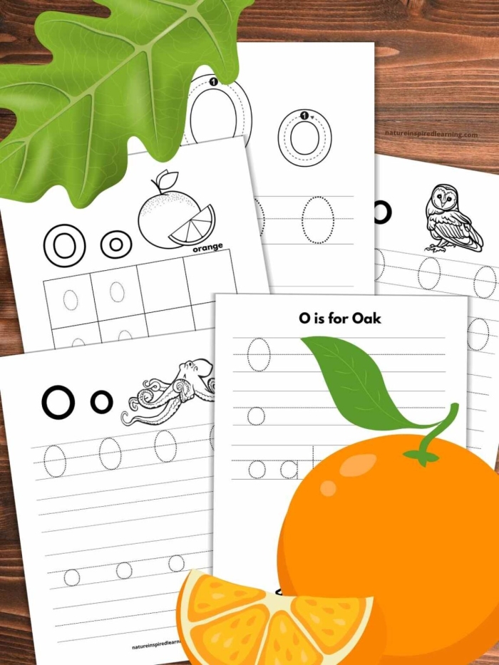 Engaging Letter O activity for young learners in geometry class Worksheet featuring the letter O with words for preschoolers to find