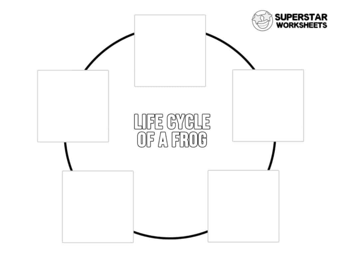 Physical Science worksheet for Second Grade Diagram illustrating the stages in the life cycle of a frog for educational purposes. Life Cycle of a Frog Worksheet - Image 4.