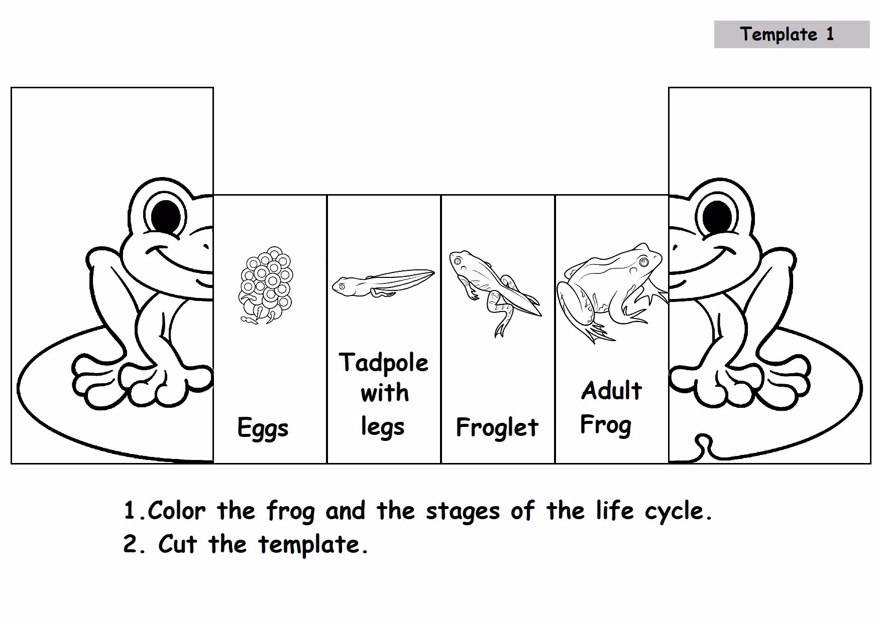Life Cycle of a Frog Worksheet Image 22 Diagram illustrating the life cycle stages of a frog for educational purposes