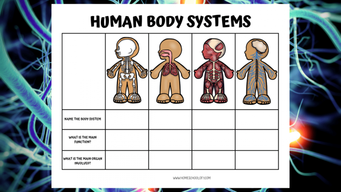 Life Science Crossword worksheet featuring body systems vocabulary and definitions for third graders
