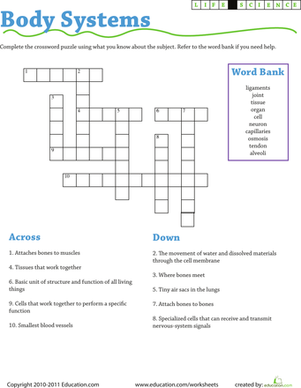 Life Science Crossword worksheet featuring body systems vocabulary for third graders