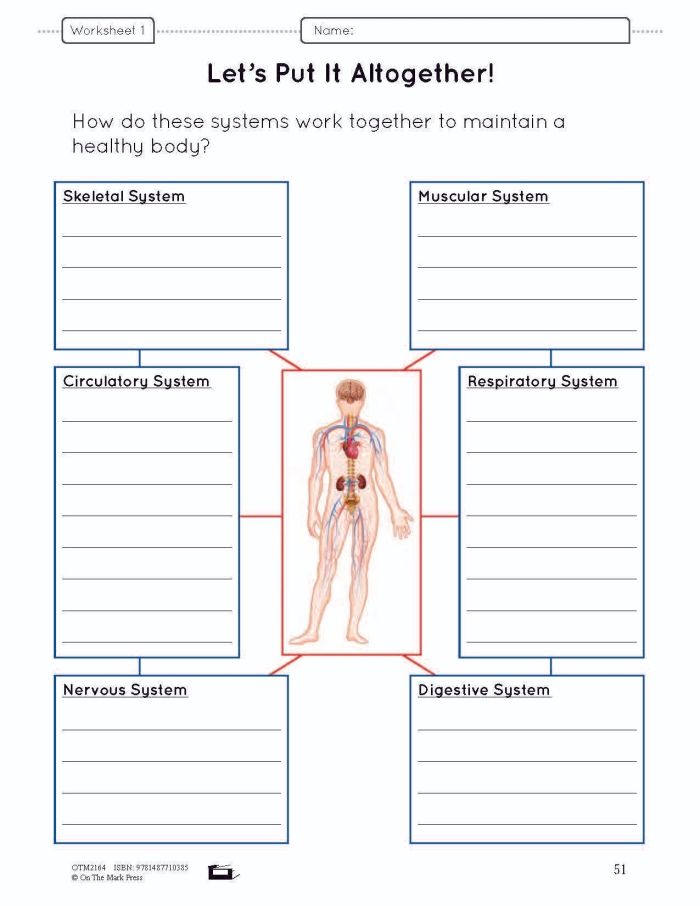 Life Science Crossword worksheet featuring body systems vocabulary and definitions for third graders