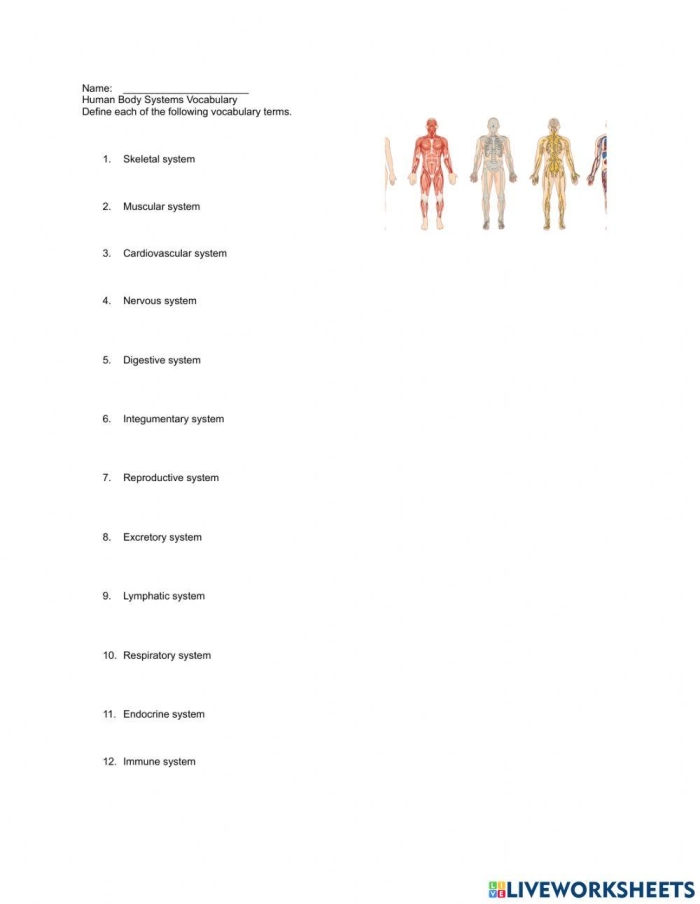 Life Science Crossword worksheet featuring body systems vocabulary and definitions for third graders