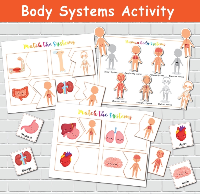 Life Science Crossword worksheet featuring body systems vocabulary and definitions for third graders
