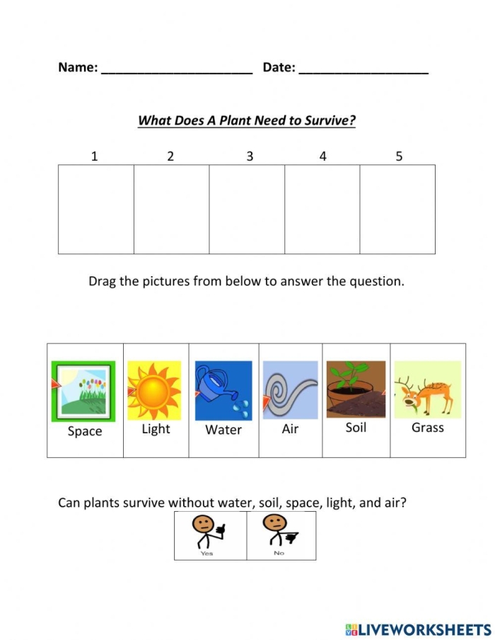 Life Science Crossword puzzle focused on ecosystems for third graders