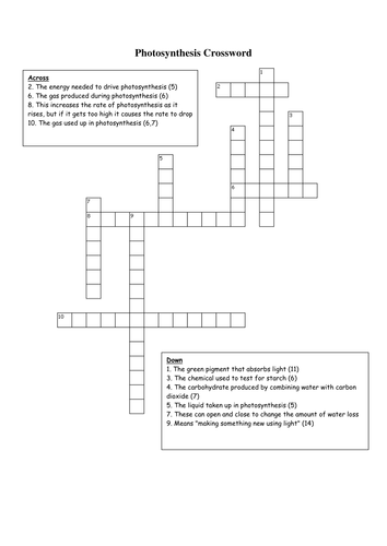 Life Science Crossword worksheet focusing on photosynthesis for third graders