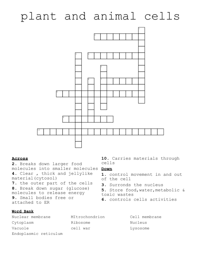 Life Science Crossword: Plant and Animal Cells worksheet for Third Grade