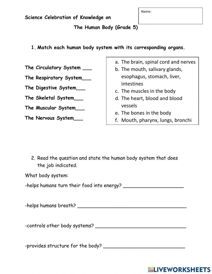 Life Science Crossword worksheet for third graders focusing on body systems vocabulary and definitions