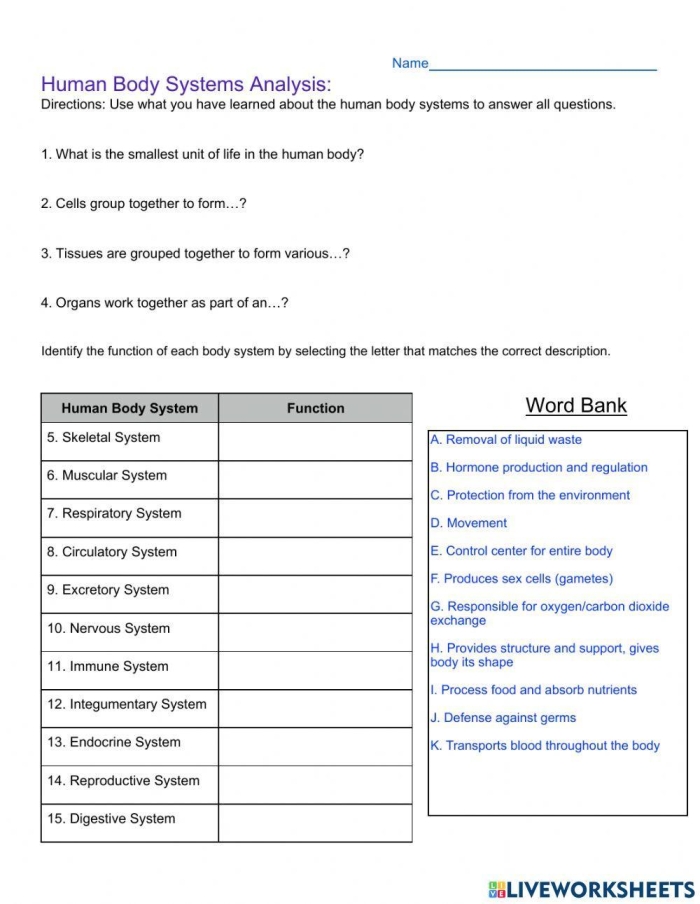 Life Science Crossword worksheet featuring body systems vocabulary and definitions for third graders