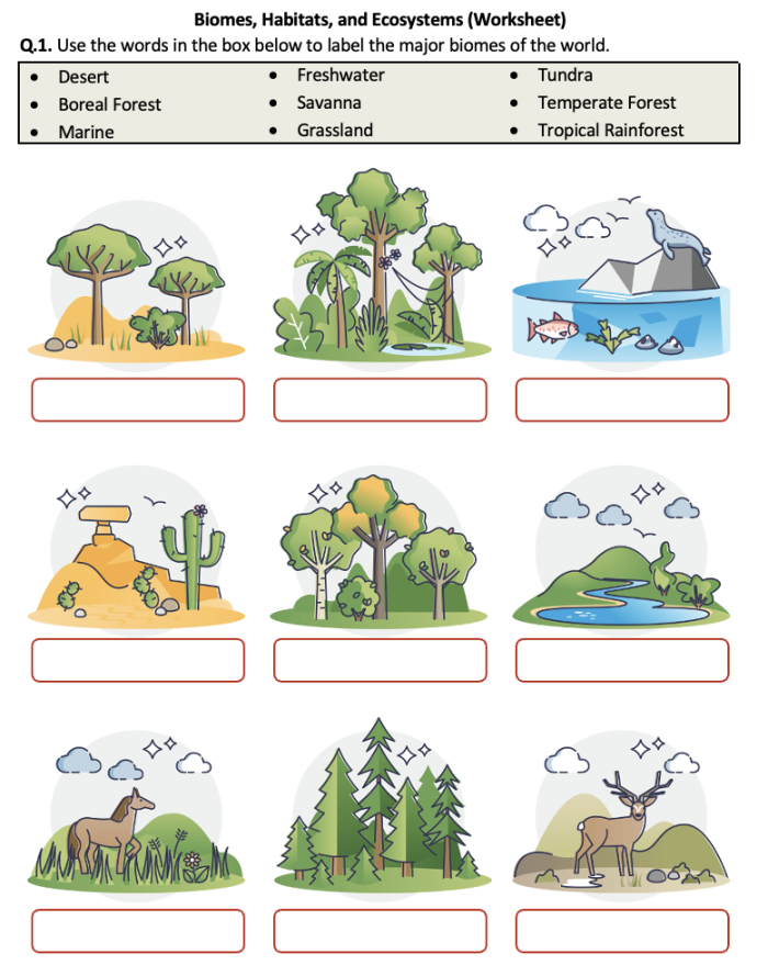 Life Science crossword puzzle focused on ecosystems for third graders