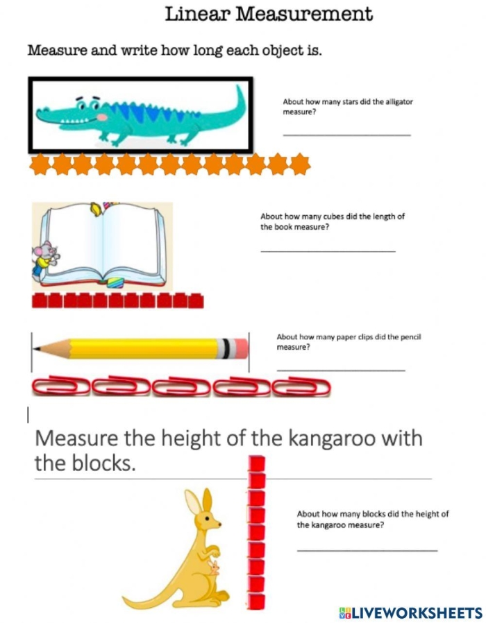 Linear Measurement Chart and Multiplication Practice for Elementary Students Fourth grade multiplication practice worksheet showing linear measurement conversions with real world examples