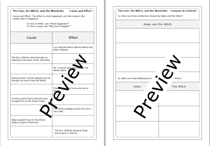 Sixth grade reading worksheet featuring a character analysis activity for The Lion the Witch and the Wardrobe