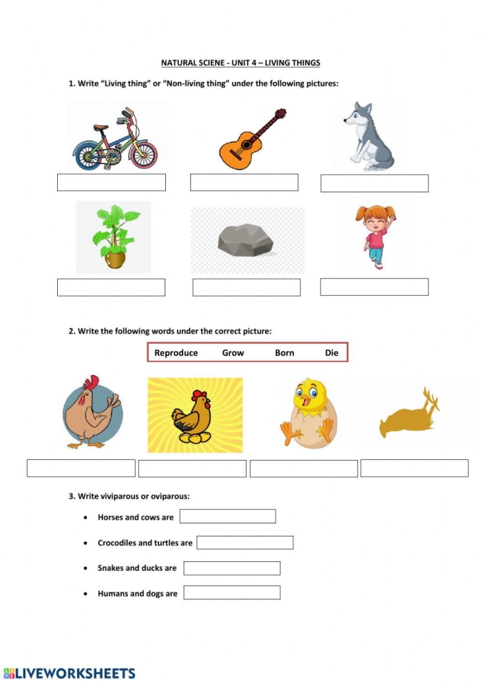 Engaging Living Things worksheet for young learners to explore and identify Coloring worksheet featuring various living things for Pre-K students
