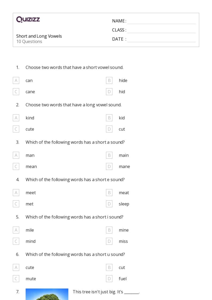 First grade phonics worksheet focusing on long A words featuring the ai spelling pattern