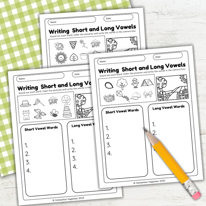 Long A Vowel Word Sort Worksheet Number Seventeen for Second Grade Second grade student sorting long A vowel words on a printable worksheet
