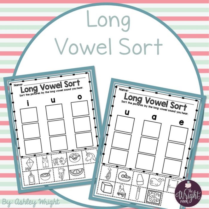 Long A Vowel Word Sort Worksheet for 2nd Grade Phonics Practice Second grade student sorting long A vowel words on a printable worksheet