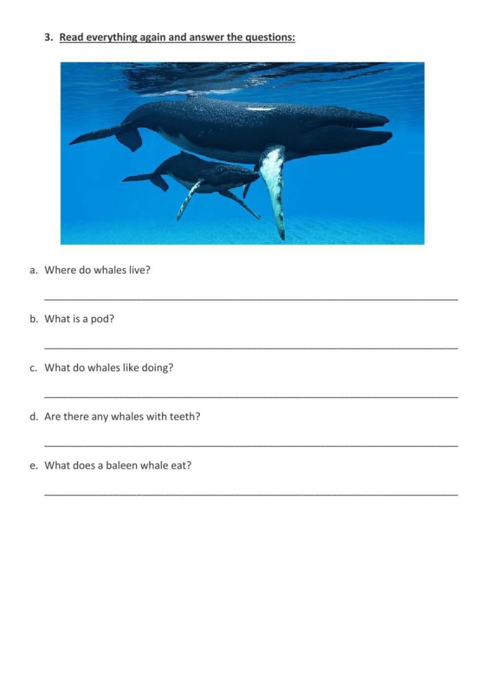 Long Division Whale Muncher Worksheet 18 Activity Fourth grade student solving long division problems to feed the whale with remainders for worksheet 18