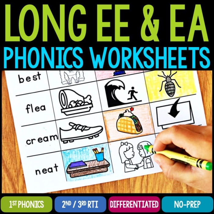 Fourth grade worksheet for sorting long E vowel teams ee and ea