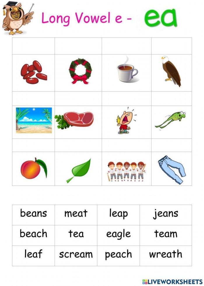 Fourth grade long E vowel team search and sort worksheet with ee and ea word practice