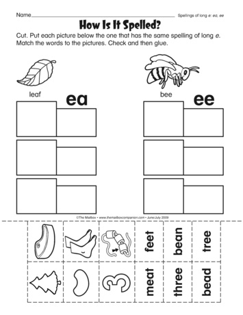 Fourth grade students sorting long E vowel team words into ee and ea categories worksheet