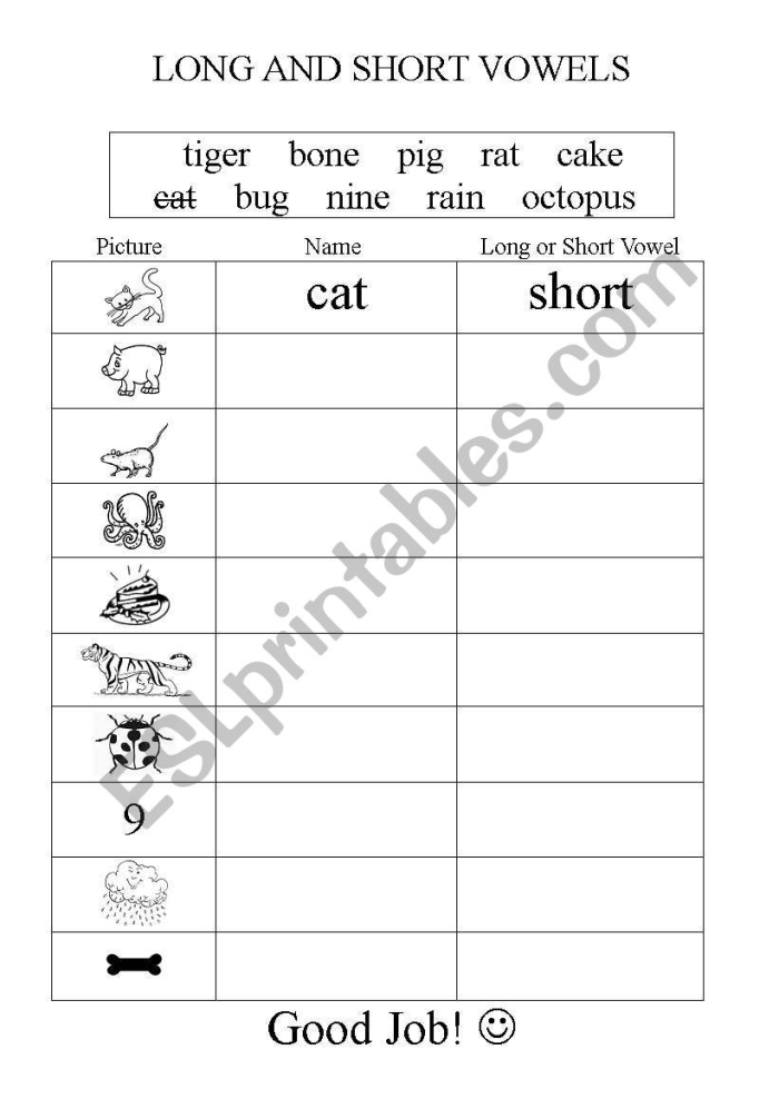 Time and Money worksheet for Second Grade Worksheet featuring a sorting exercise for long and short vowel sounds in second grade. Long & Short Vowel Check-in worksheet for assessing spelling patterns in young readers.
