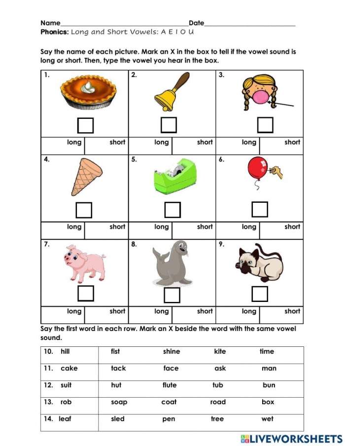First grade student worksheet for matching long and short vowel sounds with pictures