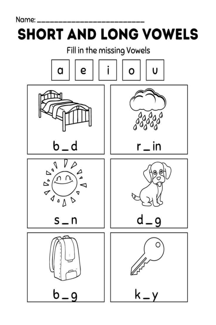 Engaging worksheet to assess vowel sound understanding in young readers Long and Short Vowel Check-in worksheet for second graders featuring a sorting exercise for vowel sounds