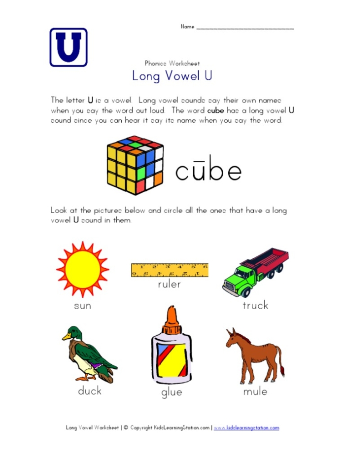 Long "u" Sound worksheet for second graders focusing on vowel recognition and spelling