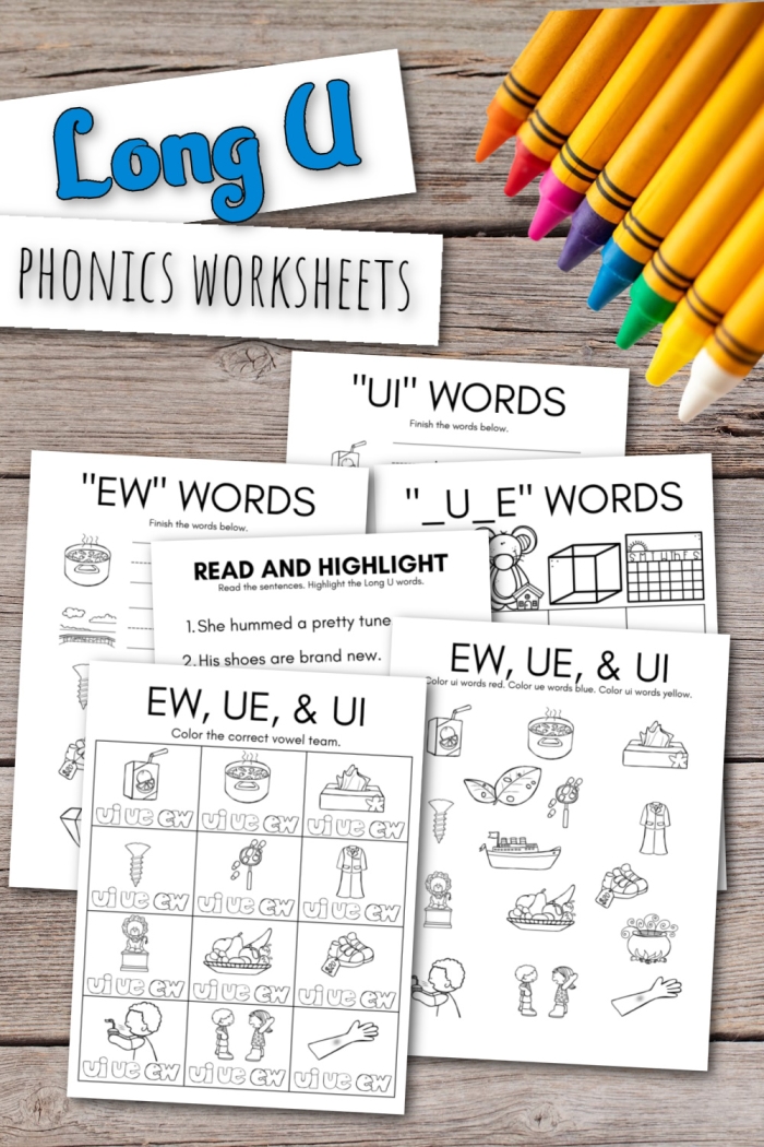 Long "u" Sound worksheet for second graders focusing on vowel recognition and spelling. Educational activity sheet helping kids learn long-vowel patterns.