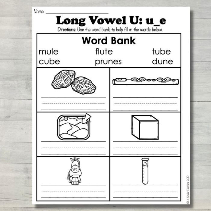 Worksheet focusing on the long "u" sound for second graders learning vowels