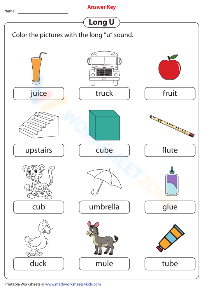 Long "u" sound worksheet for second graders focusing on vowel patterns