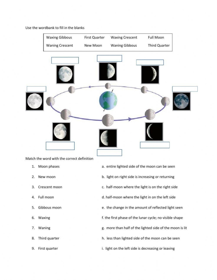 Third grade student using a moon phases worksheet to identify lunar cycles
