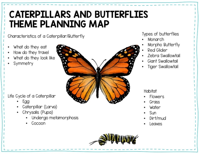 Illustration of a reading comprehension worksheet focused on butterflies and predator avoidance strategies