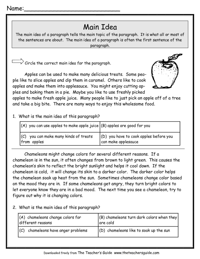 Second grade worksheet titled "What's the Main Idea?" focusing on identifying main ideas in paragraphs
