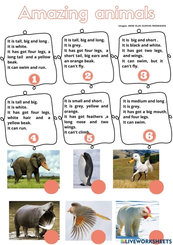 Worksheet featuring fun animal facts for making inferences in reading comprehension