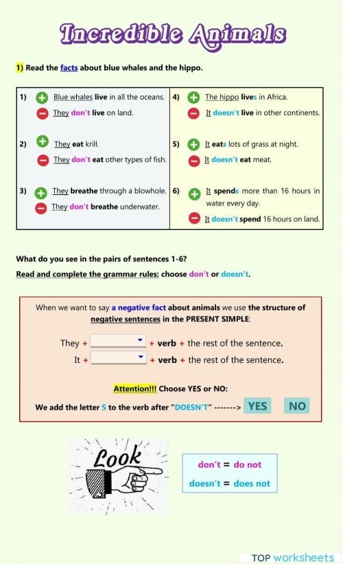 Worksheet featuring fun animal facts and inference activities for fourth graders