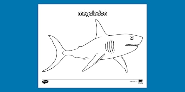 Color the Mako Shark Worksheet 18 A friendly mako shark outline for kids to color in this life science worksheet