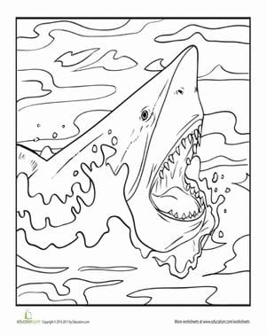 Mako Shark Coloring Activity for Pre-K Students Coloring worksheet featuring a mako shark for young children to explore marine life
