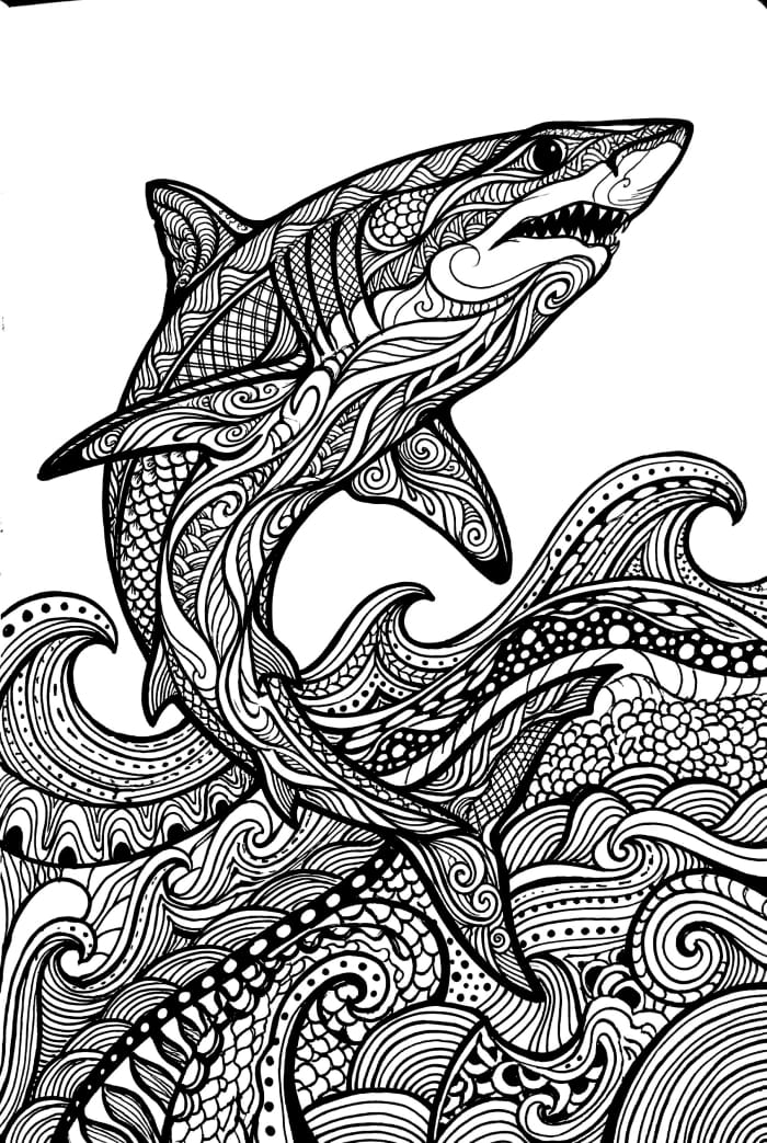 Engaging Mako Shark coloring activity for young learners in life science Coloring sheet featuring a Mako Shark for preschool kids to explore marine life
