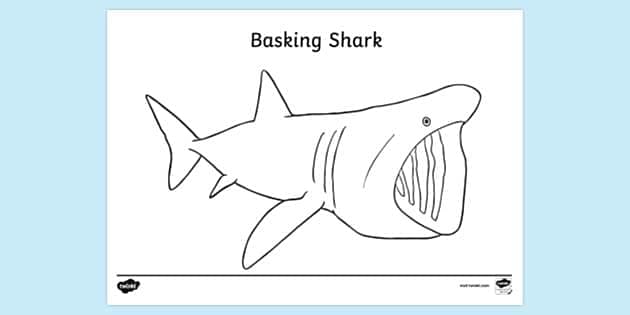 Mako Shark Coloring Sheet for Pre-K Science Lesson 10 Printable coloring page featuring a friendly mako shark illustration for preschool science learners