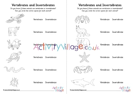 Second grade science worksheet for identifying and classifying vertebrates and invertebrates