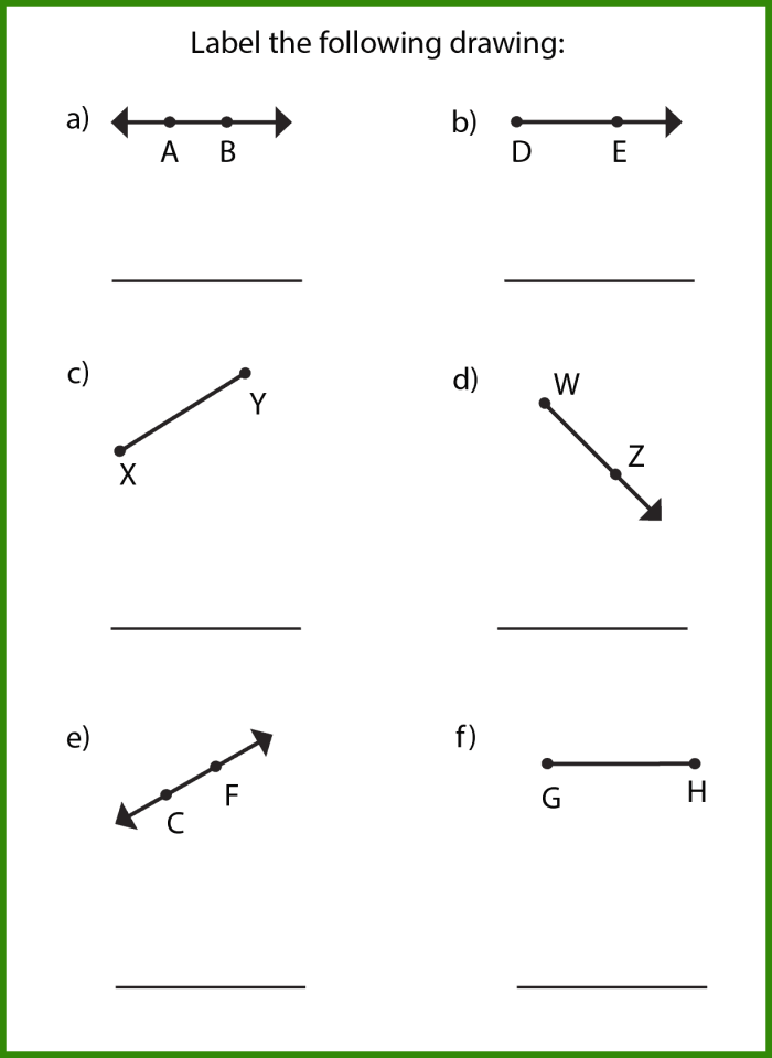 Third grade geometry worksheet featuring exercises on identifying lines, line segments, and rays