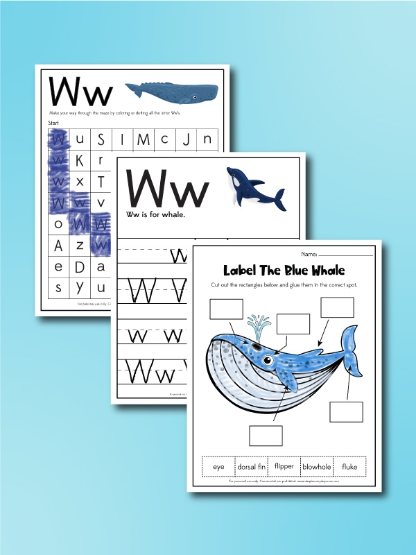 Long Division Whale Muncher worksheet page three for fourth grade students Fourth grade student worksheet featuring Lenny the whale hungry for long division quotients with remainders