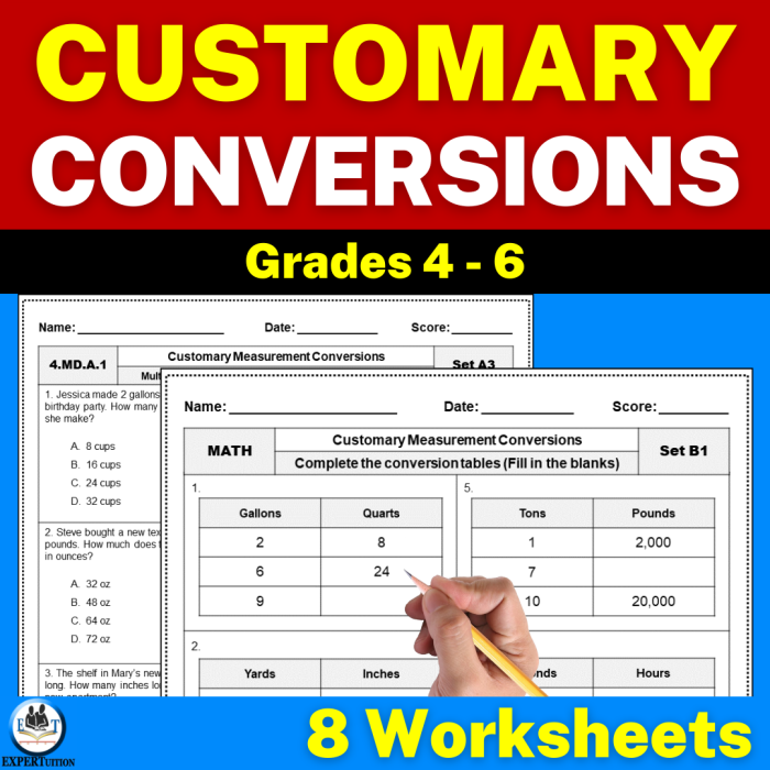 Converting Between Customary and Metric Units Worksheet Page 19 Sixth grade student worksheet for practicing the conversion between customary and metric measurement units